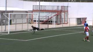 Parada Mano Cambiada