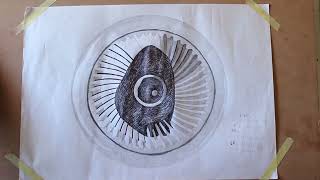 Staring Into The Barrel Of The Gun