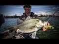 Understanding White Bass – Fishing Edge TV
