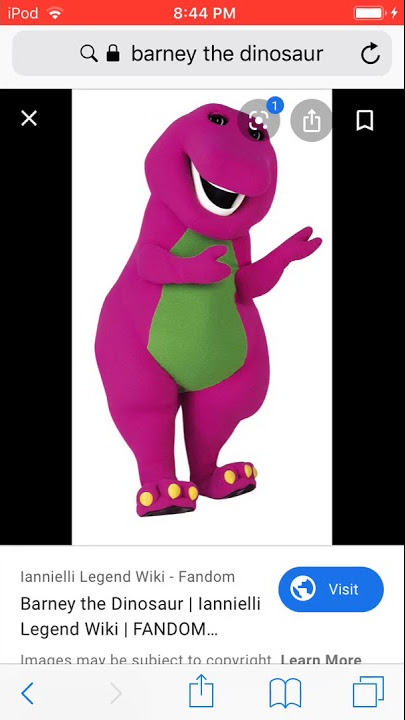 It’s always better to respect Opinions on Those that love/Like Barney