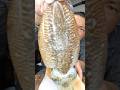 Fresh squid. #food
