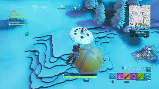 Fortnut  1