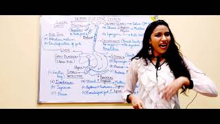 Human Digestive System : Parts and Functions | How it Works | Part-1