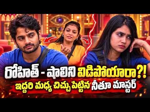 Why Rohit & Shalini Broke Up? | Neethu Master Secret Game Plan Exposed | Bigg Boss 10 Telugu | TV5