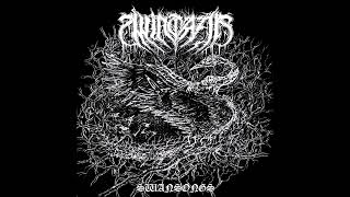 Wintaar - Swansongs - [Full Album]