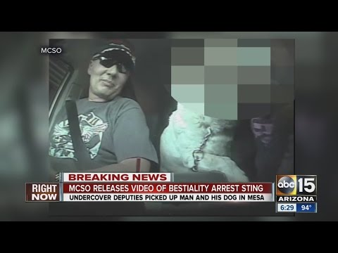 MCSO releases video of bestiality sting