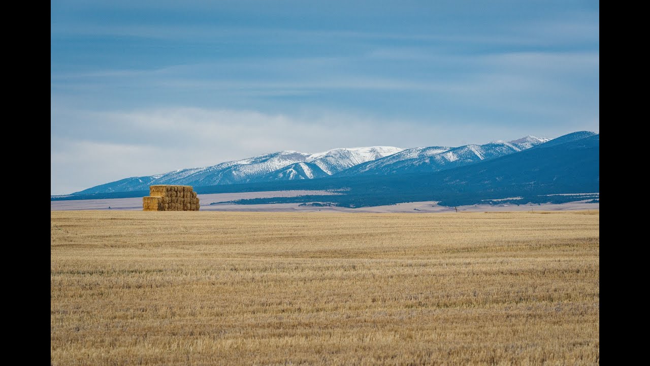 Cameron Creek Farm Lavina, MT YouTube