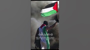 تلاوة خاشعة هيثم الدخين