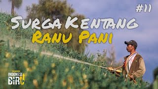 Download lagu SURGA KENTANG RANU PANI Ekspedisi Indonesia Biru 11 SURGA KENTANG RANU PANI Ekspedisi Indonesia Biru 11