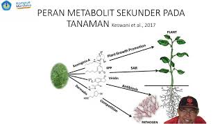HPT - PENGENDALIAN HAYATI - PENGENDALIAN BIOLOGI