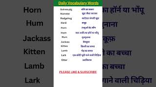 Daily Vocabulary Words English Learn With Meaning Spoken English English Grammar Useful Words