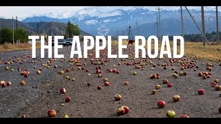 Apple Highway and my Drone Crash - Kolsai Lakes - Kazakhstan