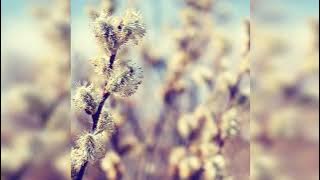 Nora En Pure - Come with Me (Slowed   Reverb)