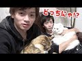 猫は双子の飼主を理解しているのか？