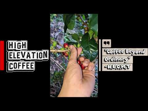 High Elevation Coffee | Bukidnon Philippines