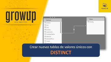 Crear nuevas tablas de valores únicos con DISTINCT