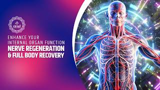 Nerve Regeneration &amp; Full Body Recovery - Cellular Healing | Reduce Inflammation &amp; Relax The Body
