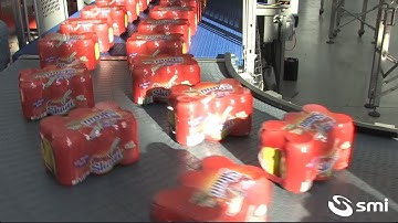 SK 600 T ERGON packer with tunnel of cans