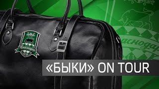 Боруссия Дортмунд - Краснодар