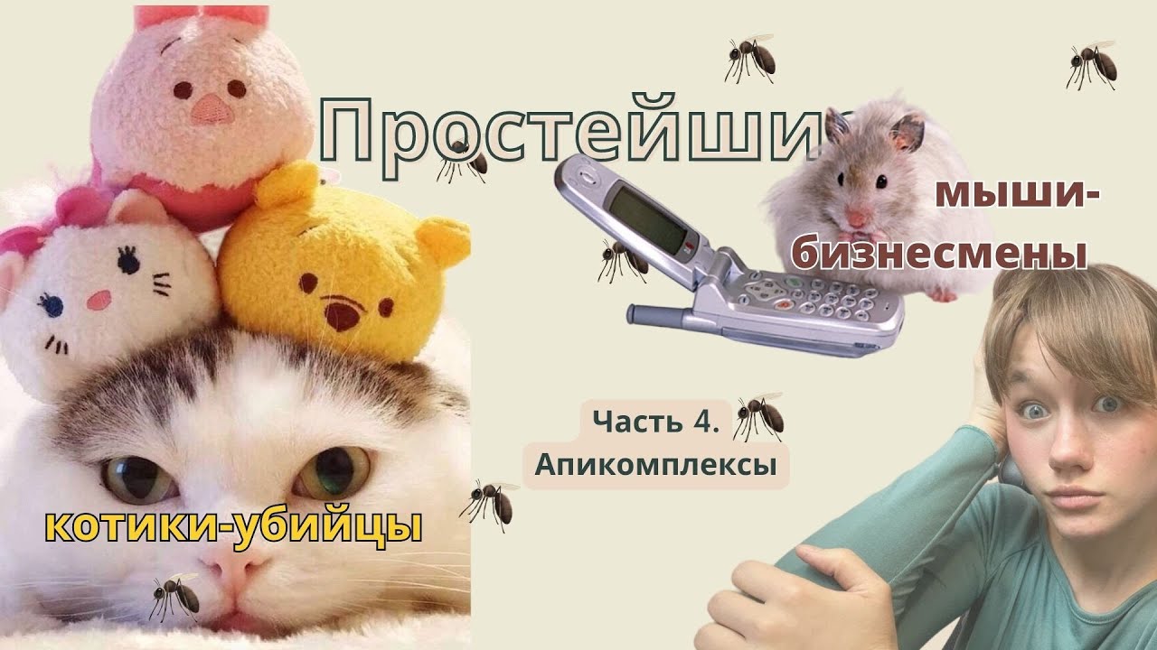 ПРОСТЕЙШИЕ. Малярийный плазмодий. Цикл развития. ТОКСОПЛАЗМА. ЕГЭ. 4 часть