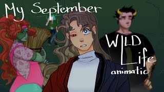 My 3rd Session (My September) | Wild Life animatic