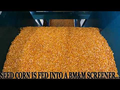 Corn Screening
