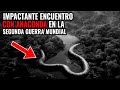 Avistamientos De Criaturas Misteriosas