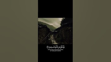 مِّن وَرَائِهِ جَهَنَّمُ وَيُسْقَىٰ مِن مَّاءٍ صَدِيدٍ (16) سورة ابراهيم _ قارئ عاصم العلاقمي