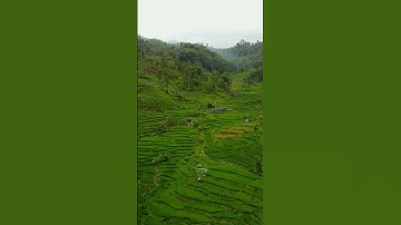 Breathtaking Rice Terraces in West Java | Sumedang, Indonesia