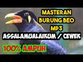 masteran burung beo bicara assalamualaikum" cewek.