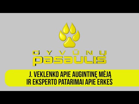 Video: Kada Reikia Gauti Antrą Nuomonę Apie Savo Augintinio Sveikatą?