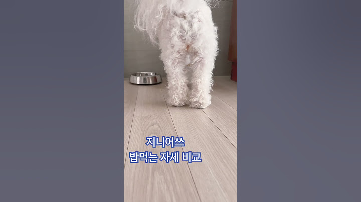 지니어쓰 밥먹는 자세 비교하기