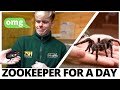 Being a ZOOKEEPER for 24 HOURS (and conquered our fears)