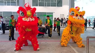Lion Dance - Legacy in every step