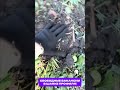 💥 Давно думал, начинать или нет? Ну мой ответ очиведен ВЕДЬ ДА! Не слушайте вранье! #курьер
