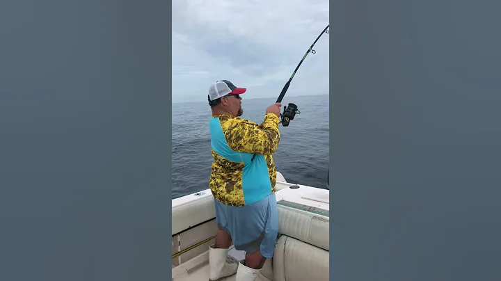 mahi-mahi