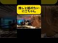 推しと話したいニコちゃんの後押しをするリンリンw#平成フラミンゴ#へいふら#にこちゃん#リンリン#nico#彼氏#すしらーめんりく #すしりく