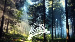 Hollow Coves - The Woods (Ghosts Remix)