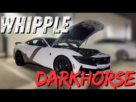 M2, Whipple DarkHorse & Whipple S650 Hit The Streets!