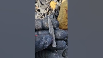 Pin point Belemnite Squid Fossil! 🌊🦑 #fossilhunting #fossils #shorts #coast #rock #sea #beach