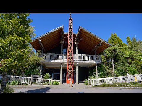 4K Arataki-Waitakere Ranges Auckland NEW ZEALAND ニュージーランド 紐西蘭 Part 7