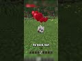 THE TEXTURE FOR WOLF PUPS IS WRONG-