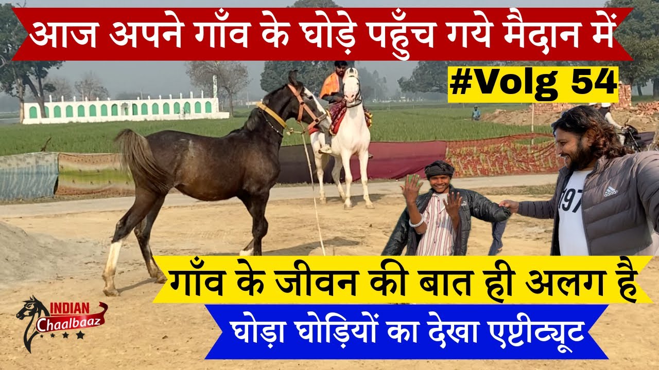 आज अपने गाँव के घोड़े पहुँच गये मैदान में दिखाया एप्टीट्यूट #volg #dailyvlog