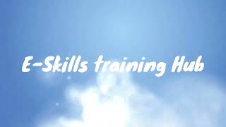 Introduction To E- Skills Training Hub screenshot 4