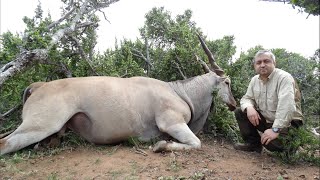 KUDU &amp; ELAND HUNTING  TURKISHFRONTIER &amp; ALİ GÖKSU