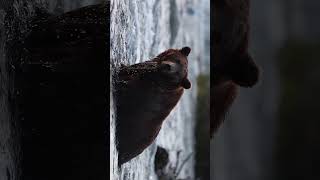I don’t normally post horizontal footage, mainly because it doesn’t get as much engagement… but I don’t normally post horizontal footage, mainly because it doesn’t get as much engagement… but