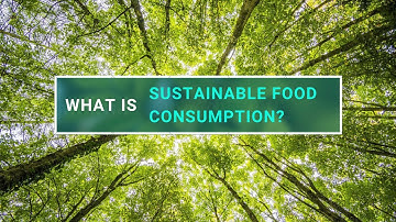 The Future of Food from the Perspective of Sustainable Food Consumption | Lê Tấn Khôi Nguyên