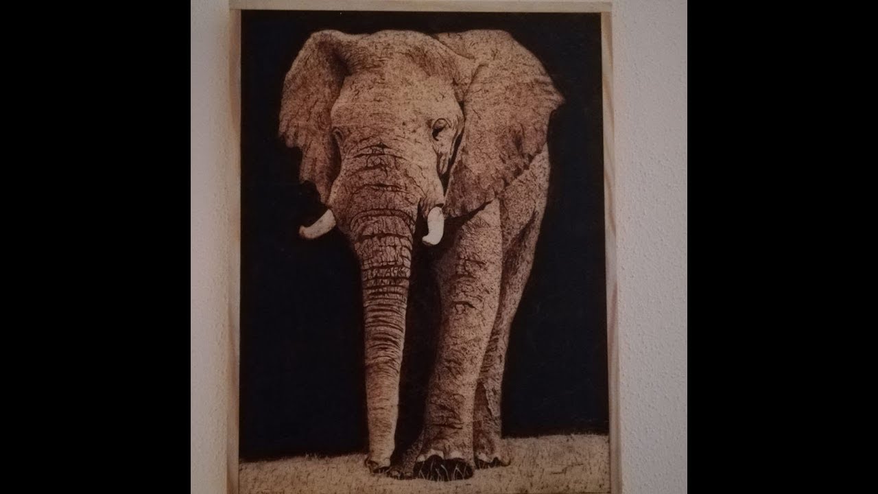 Woodburning: Pyrography of an Elephant timelapse video with pics ...