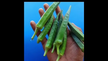 Dc Motor Life Hacks Shorts #shorts