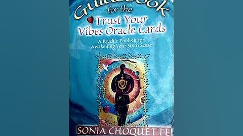 Trust Your Vibes 🧖 Guide Book Introduction